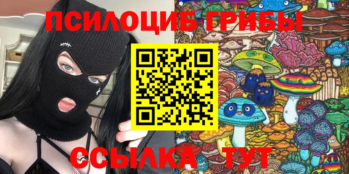 наркошоп  Вход с VPN  Рассказово  Псилоцибиновые грибы Psilocybine cubensis 